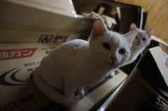 DSC03830.500JPG