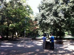 公園ぽいのが近くにありました。