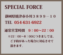 SPECIAL FORCE