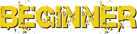 BEGINER