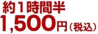 約1時間半 1,000円（税込）